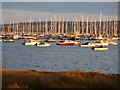 Poole: yachts in Parkstone Bay