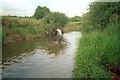 Sampling in the River Roding