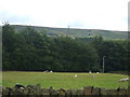 Grazing land to Rishworth Hall Wood