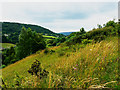 View south-west from a bridleway above Sheepscombe