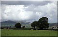 Field above Afon Dyfnant