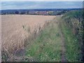 Footpath to St Brides