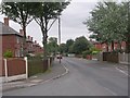 Castle Crescent - viewed from Thorn Avenue