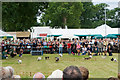 Terrier race, New Forest Show 2009