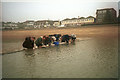 Paddling Pool at Westcliff in March