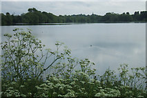 SP5864 : Daventry Reservoir by Robin Stott