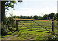 Farmland, Pylewell