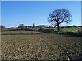 Cropland by Mill Lane, near Barrow