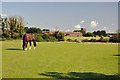 Paddock, Higher End - St Athan