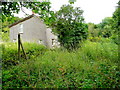 Neglected cottage at Scowles 1