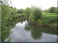 The River Rother