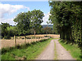 Lane down from Pant-y-pond