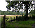 Gate to field near Waun-gron farm