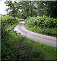 Country road near Waun-gron farm