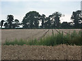 Fields southwest of Gravel Pit Farm