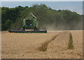 Wheat field harvest