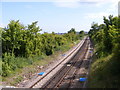 Track to Whitstable