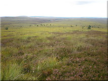 NH9132 : Looking north from Cnapan a' Choire Odhair MhÃ²ir northern moorland by Sarah McGuire