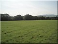 Fields west of New Barn farm