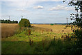 Harvesting Oilseed Rape