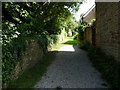 Stour Provost: Church Lane from the road