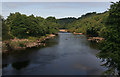 River South Tyne