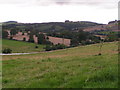 Fields near Eastacott