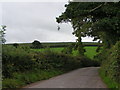 Lane near Black Down heading south