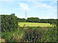 ST2243 : Fields north of Cockwood by Ken Grainger