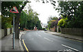 Arthur Road - Steep Hill 10%