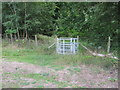 TR0349 : Kissing gate junction in Kings Wood by David Anstiss