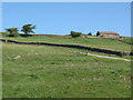 Pastures below Halliwell House