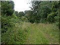 Brocklington Down, bridleway