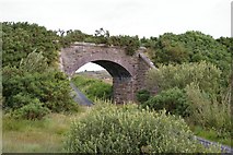 B7616 : Railway bridge by Steve Edge
