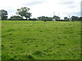 Grazing land north of Morpeth