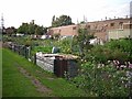 Allotments off Eastern Way