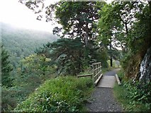 T2499 : Small Bridge on the Cliff Walk in Devil's Glen Forest Park, Co. Wicklow by JP