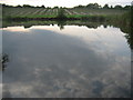 Fishing Lake near Cork Wood