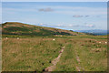 Track heading for Gwrhyd farm