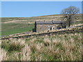 Rough pastures near Queensbury