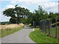 Lane to Wolves Farm