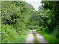 Farm lane near Tregaron, Ceredigion