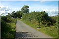 Country lane to Colemere