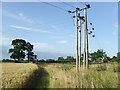 Power Lines And Footpath