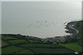 J5963 : Kircubbin Bay from the air by Ronan Magee
