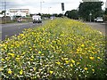 Airbles Road, Motherwell