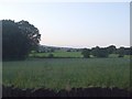 Fields towards Denby Dale