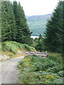 Track with a view of Loch Tummel