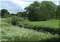 SJ8909 : The River Penk, near Brewood, Staffordshire by Roger  Kidd