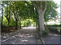 Lidgett Park Avenue - viewed from Shaftesbury Avenue